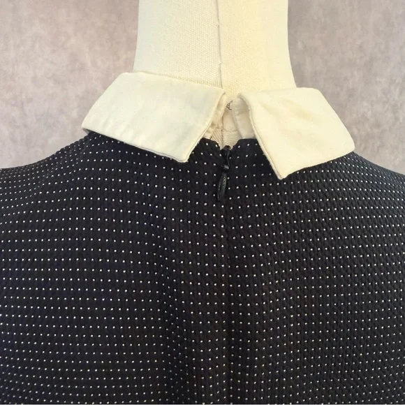 Lauren Ralph Lauren Black Midi Dress with White Collar - Picture 15 of 16